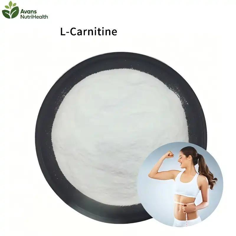 Can L-Carnitine Powder Support Fat Metabolism Naturally?